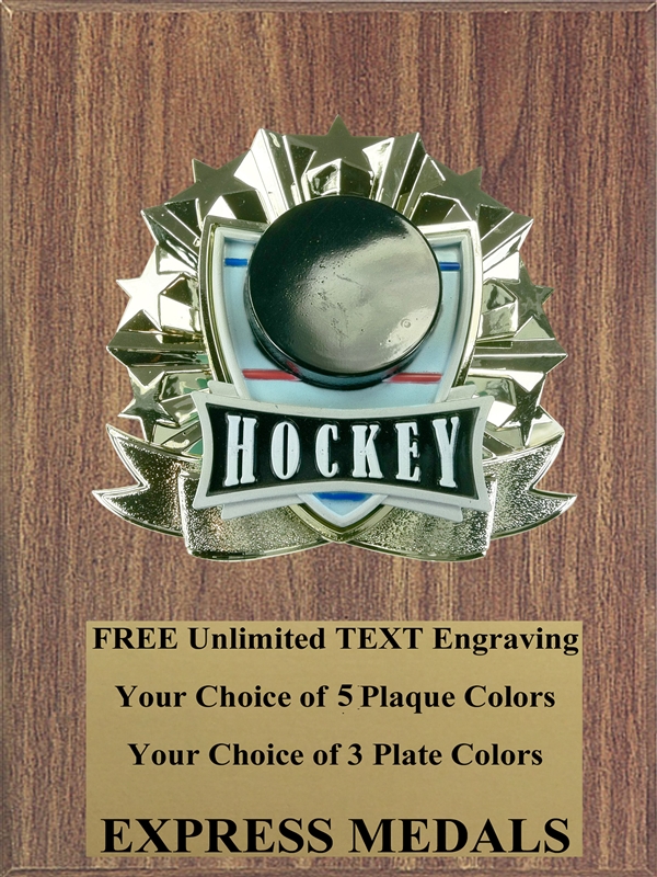 Quality Hockey Plaque | 6x8 Hockey Plaque | Express Medals