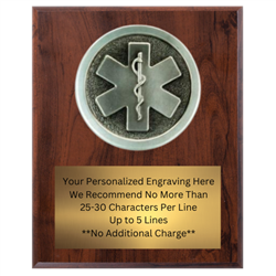 7" x 9" EMS Plaque VL79-PM151