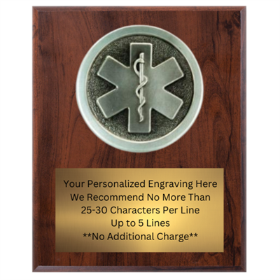 8" x 10" EMS Plaque VL810-PM151